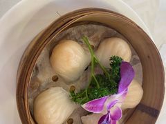 招牌虾饺皇-江南村酒家
