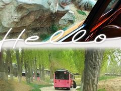 -北京野生动物园