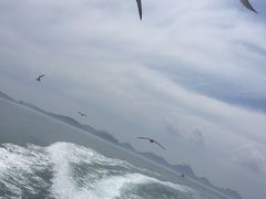 -海驴岛(荣成市)