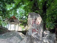 -小洲村