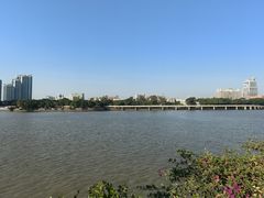 -洲头咀公园
