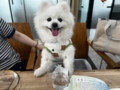 -洄归山也·高空C位湖景下午茶(东方之门店)