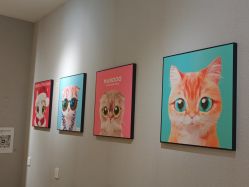 -洗脸猫·洗脸吧