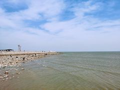 -东疆建设开发纪念公园