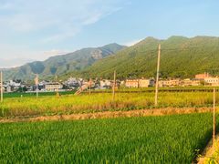 -梁野山景区