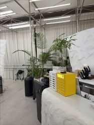 -BOF HAIR BY HONTO