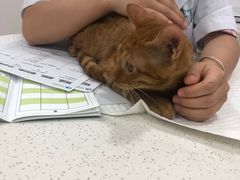 -佳雯宠物医院·皮肤科·内外科(春晓路分院)