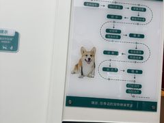 -瑞派康怡24h宠物医院·犬猫医疗中心·微创绝育(瑞景分院)