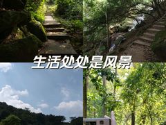 -火炉山森林公园