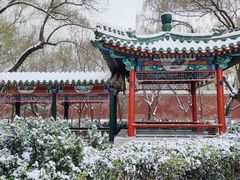 -北京市劳动人民文化宫(太庙)