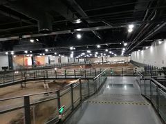 -南越王博物院(王宫展区)