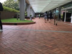 -香港大学
