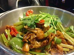 -云中小雅