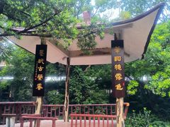 -广州兰圃