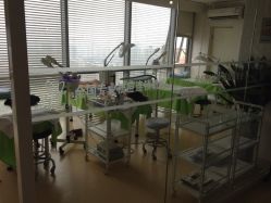 -苗方清颜专业祛痘连锁机构