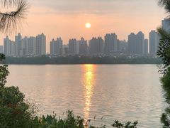 -艾溪湖湿地公园