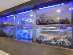 -南海渔村(珠江新城店)