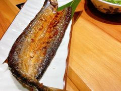 -锦鲤堂日本料理(莱茵之星店)