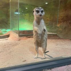 -酷嗒动物文化乐园(cutezoo西溪乐天城店)