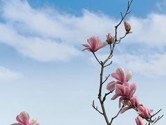 -济南奥林匹克体育中心体育场
