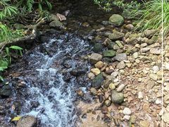 -海南热带雨林国家公园吊罗山景区
