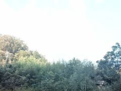 -老界岭旅游度假区