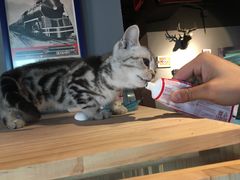 -NRG 健身私教CLUB(云山路店)