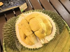 -榴莲BB 四季果园