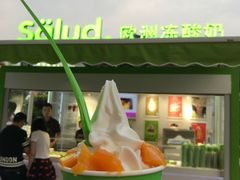 -Salud撒露欧洲冻酸奶(蓝色港湾店)