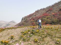 -武汉姚家山旅游景区