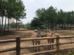 -大连森林动物园