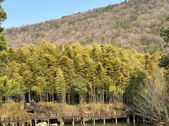 -宝岩生态观光园