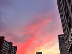 -丽人春照相馆(身份证照片采集店)