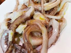 鱿鱼头-鞍山戰