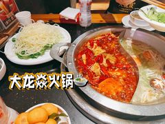 -大龙燚火锅(南山大道店)
