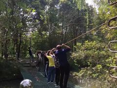 -溱湖国家湿地公园