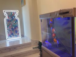 -海涛医疗美容·面部抗衰·注射美鼻