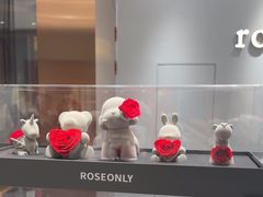 -ROSEONLY诺誓(磐基中心店)