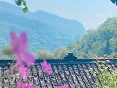 -龙窝子