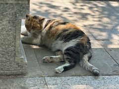 -西园戒幢律寺