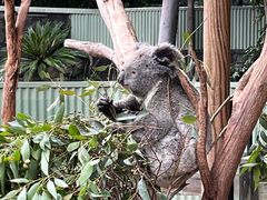 -费瑟代尔野生动物园