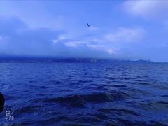 -刘公岛景区