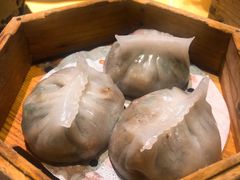 中山粉果-优之名鹅城