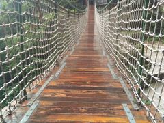 -洛阳白云山景区