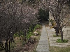 -草庵摩尼教遗址公园