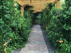 -中家鑫园温泉酒店鑫悦汤泉