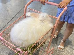 -武汉荟聚