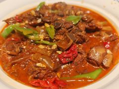 -阿五黄河大鲤鱼(纬三路店)