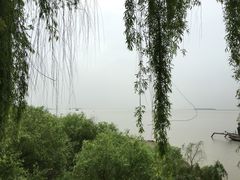 -湖南东洞庭湖国家级自然保护区