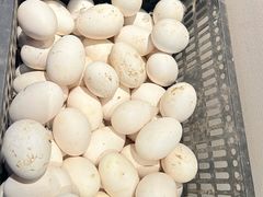 -单家老院·院子里的青岛菜(沙子口店)